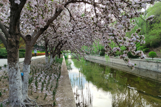 北京元大都城垣遗址公园