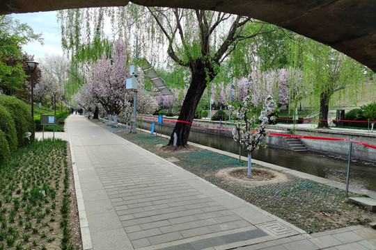 北京元大都城垣遗址公园
