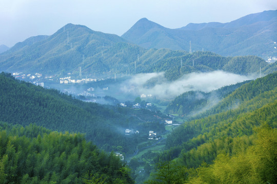 青山