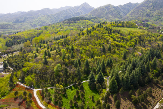 秦岭山植物园