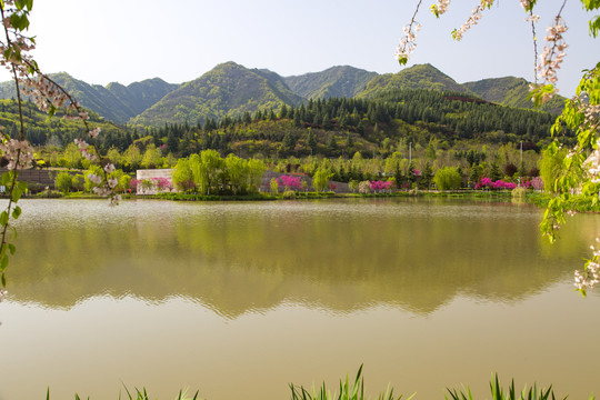 秦岭山植物园