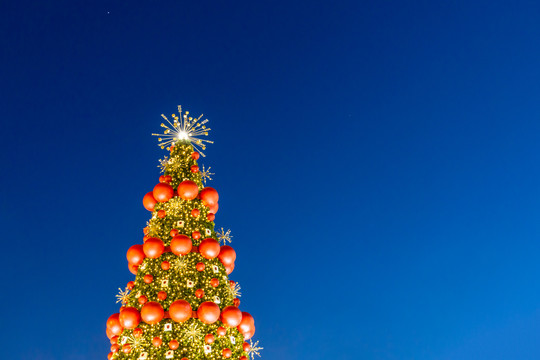 夜晚蓝天下的圣诞树