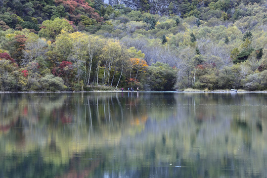秋色彩林水面光影自然风光