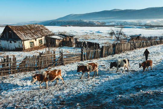 冬季额尔古纳乡村