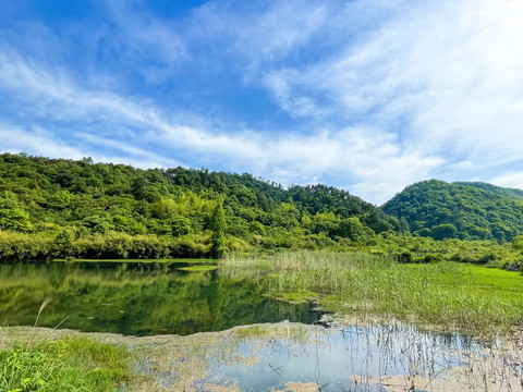 长沙象鼻窝森林公园