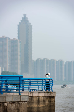 芜湖滨江公园