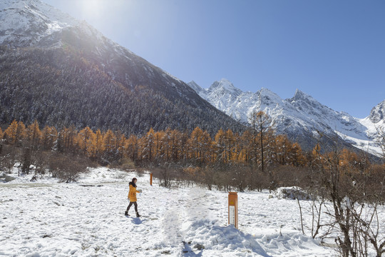 蓝天雪山森林自然风光