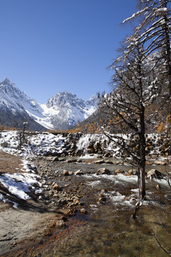 蓝天雪山森林自然风光