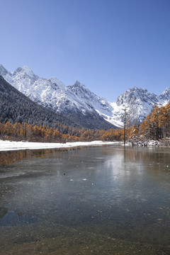 蓝天雪山森林自然风光