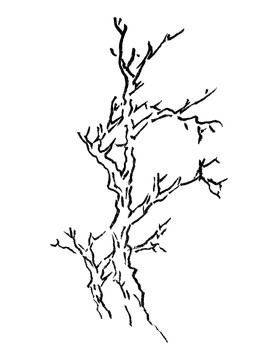 手绘黑白树枝素材
