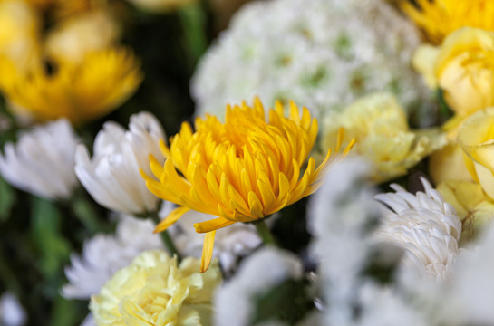 五台山寺庙鲜花清明节菊花