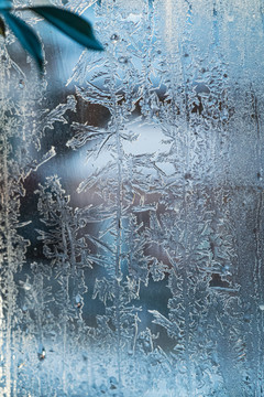玻璃窗霜花冰花