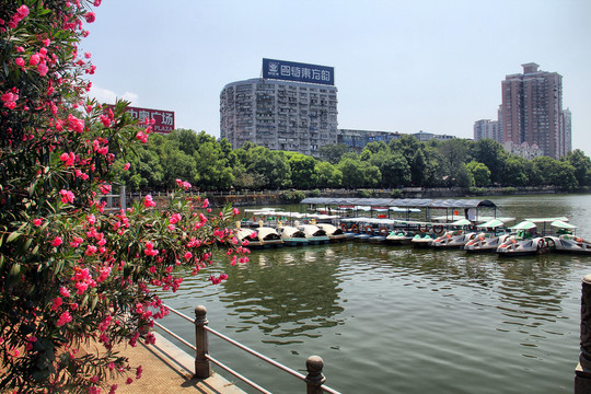 九江甘棠湖