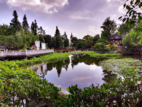 湖畔风景