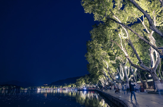 杭州西湖保叔塔夜景