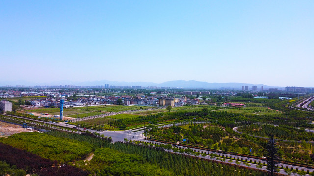 城市绿化