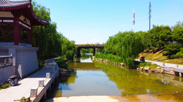 河岸绿植