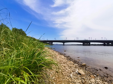 河岸景观