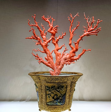 珐琅海棠式盆红珊瑚盆景