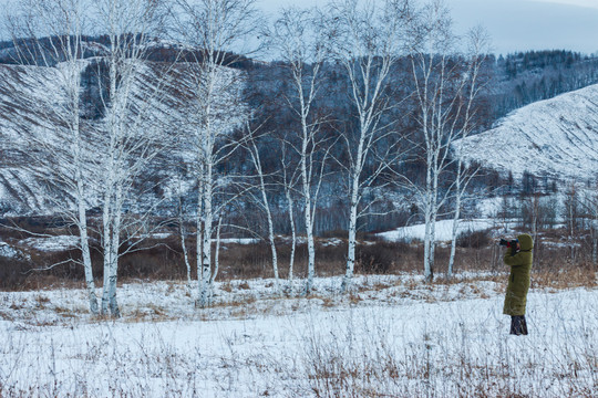 冬季摄影人白桦树