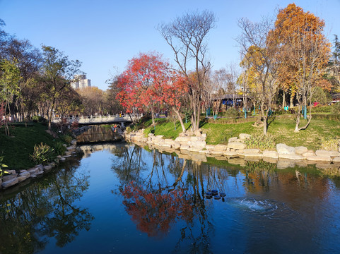 园林风景