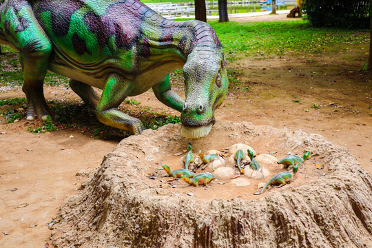 小恐龙幼崽