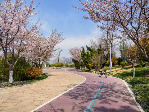 青岛唐岛湾国家湿地公园