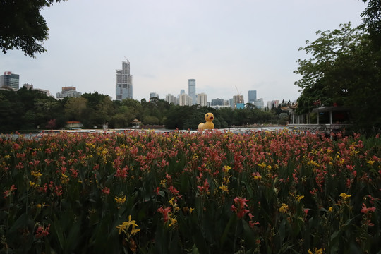 花海荔枝公园