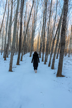 雪后漫步在树林里的女孩