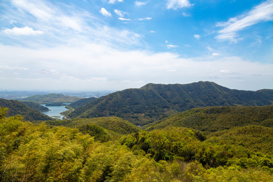 森林高山
