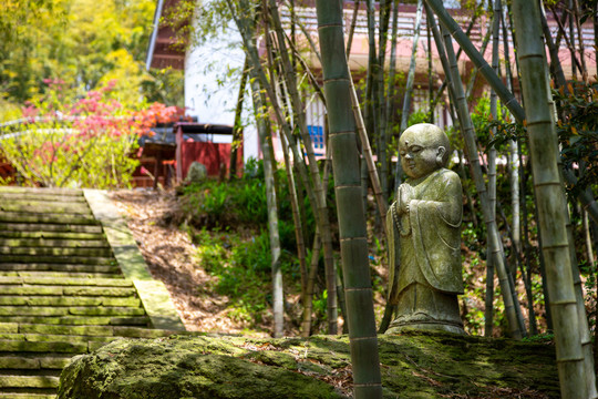 竹林里的小僧人雕像