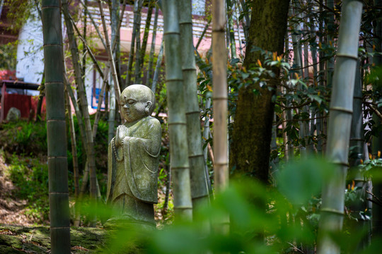 竹林里的僧人石像