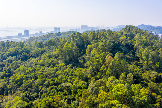 广州大角山炮台遗址虎门炮台