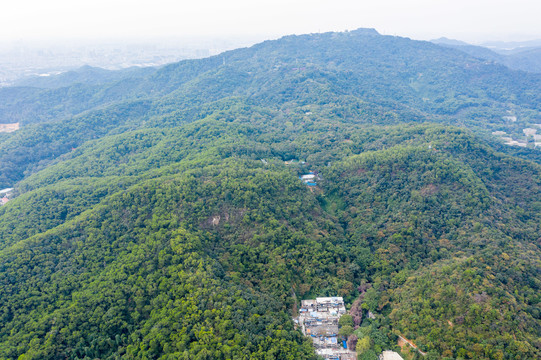 航拍广州白云山风景区鸣春谷