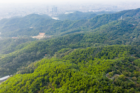 航拍广州白云山风景区鸣春谷