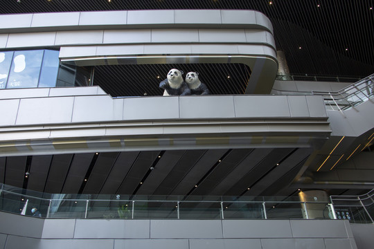 白玉兰大厦熊猫雕塑
