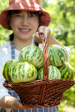 一篮花蕾甜瓜