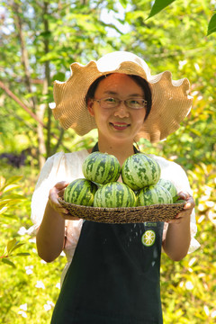 花蕾香瓜