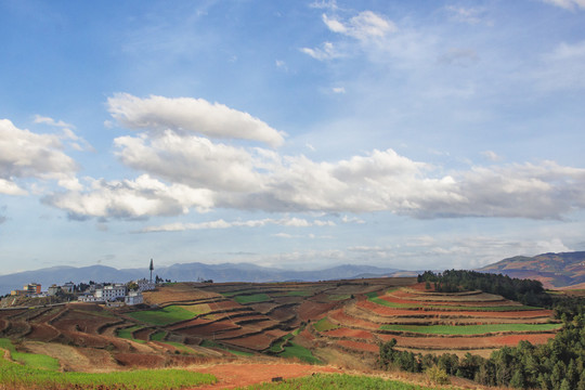 东川红土地