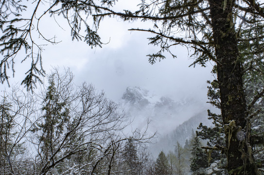 高原雪山