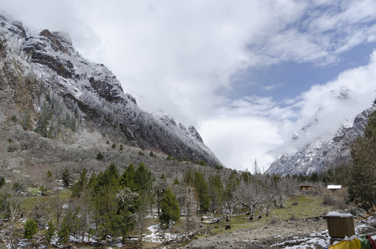 高原雪山