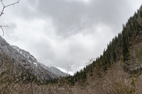 高原雪山