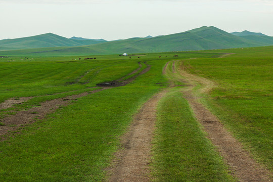 草原车辙蒙古包放牧场