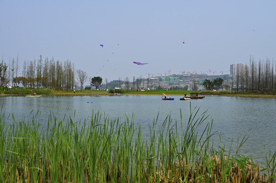 广阳岛生态湖畔