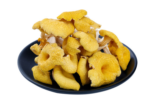 鸡油菌