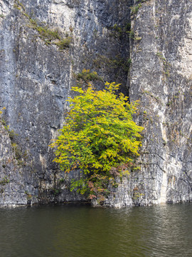 靖宇白山湖仁义风景区