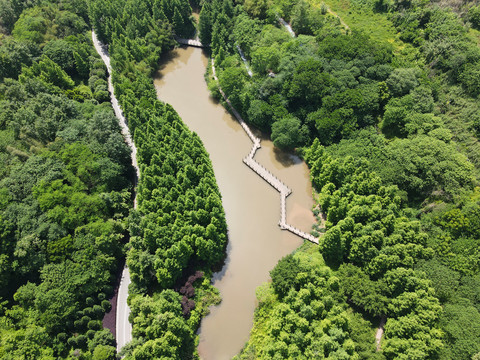 九曲河湿地公园