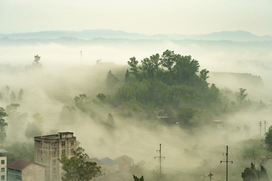 乡村有雾的早晨