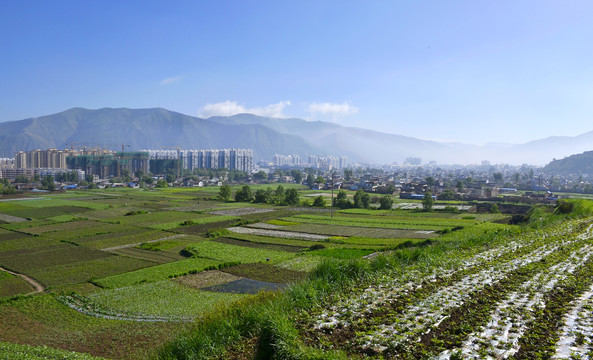 岷县城郊风光