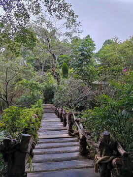 山间小木桥一景